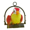 Talk Back Parrot Interactive Talking Toy